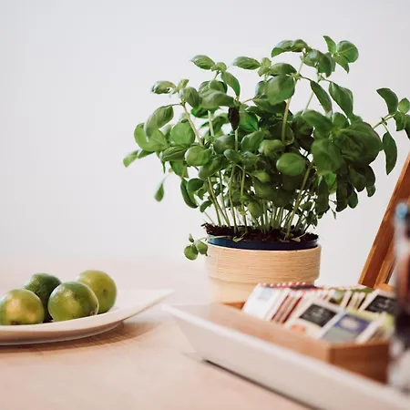 Heide Smile, Apartment
